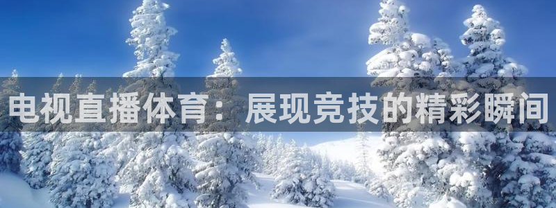 龙门比赛直播：电视直播体育：展现竞技的精彩瞬间