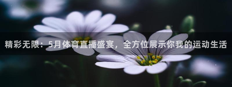 龙门直播在线直播：精彩无限：5月体育直播盛宴，全方位展示你我的运动生活