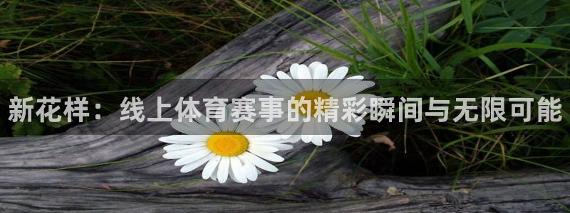 龙门直播间：新花样：线上体育赛事的精彩瞬间与无限可能