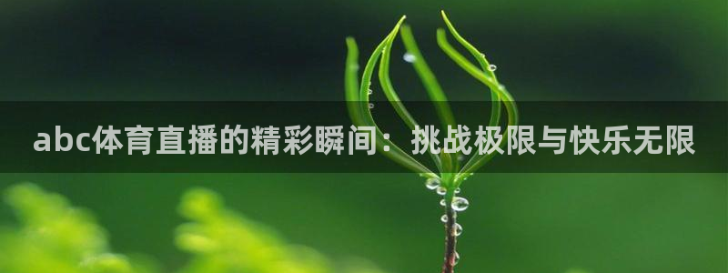 龙门nba免费直播：abc体育直播的精彩瞬间：挑战极限与快乐无限