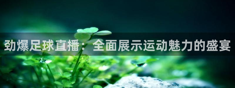 中超龙门直播：劲爆足球直播：全面展示运动魅力的盛宴