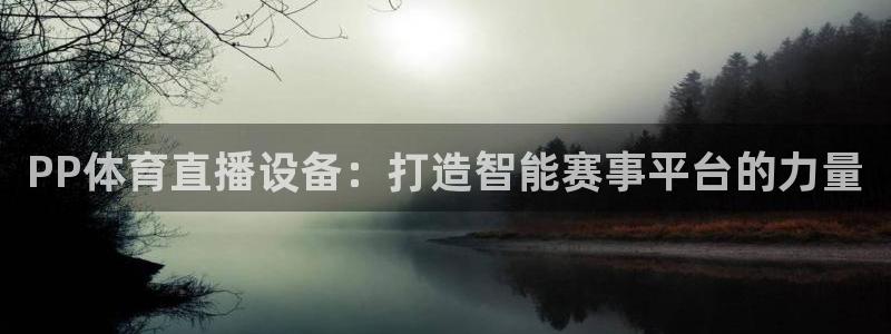 龙门直播在线直播：PP体育直播设备：打造智能赛事平台的力量
