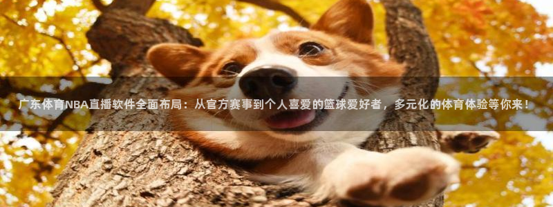 nba龙门直播：广东体育NBA直播软件全面布局：从官方赛事到个人喜爱的篮球爱好者，多元化的体育体验等你来！