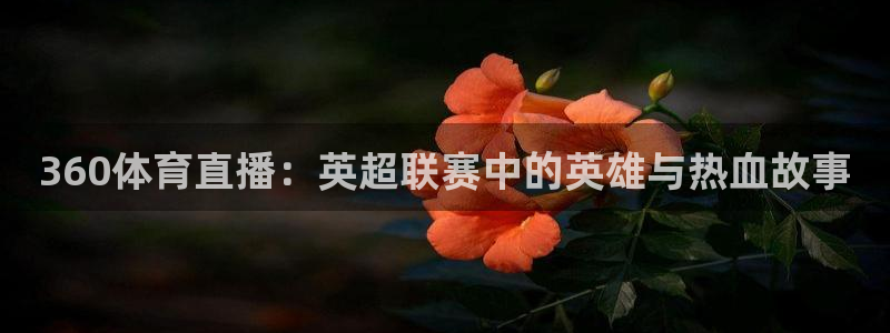 龙门直播免费下载入口：360体育直播：英超联赛中的英雄与热血故事