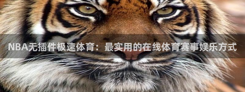 nba直播免费观看直播在线龙门：NBA无插件极速体育：最实用的在线体育赛事娱乐方式