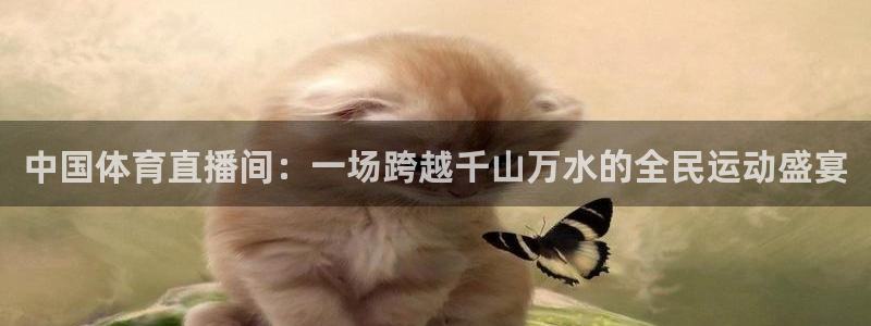 龙门直播足球：中国体育直播间：一场跨越千山万水的全民运动盛宴