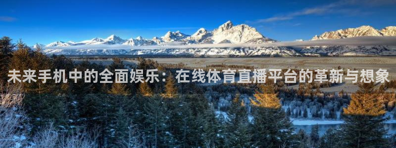 nba直播龙门：未来手机中的全面娱乐：在线体育直播平台的革新与想象