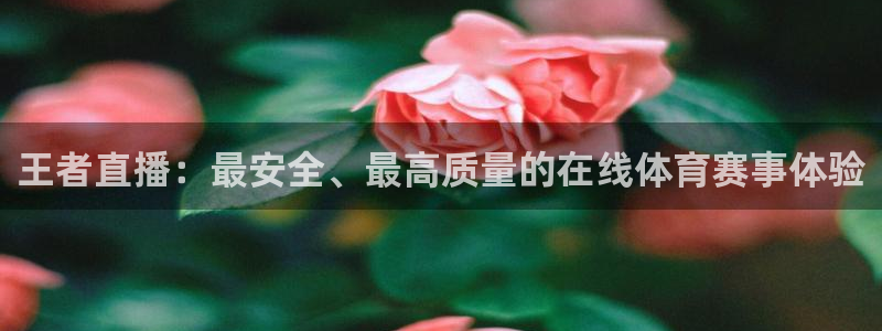 龙门镖局1.5在线观看免费完整版：王者直播：最安全、最高质量的在线体育赛事体验