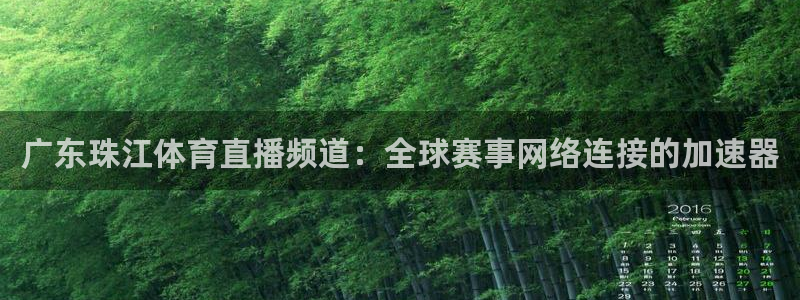 龙门直播体育：广东珠江体育直播频道：全球赛事网络连接的加速器